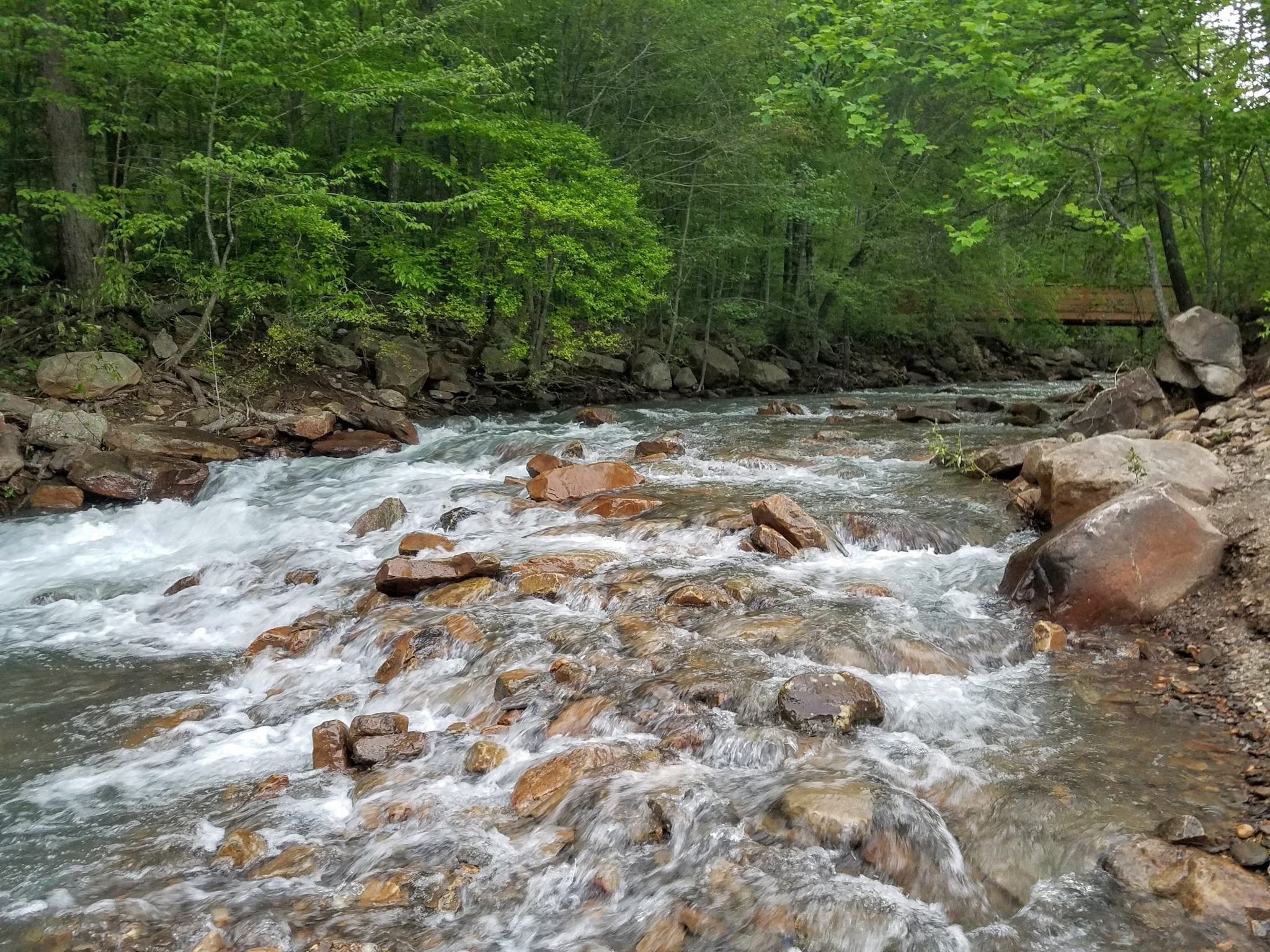 A Local's Guide to Soddy-Daisy: Big Soddy Creek Gulf and Lakeside Country Cooking