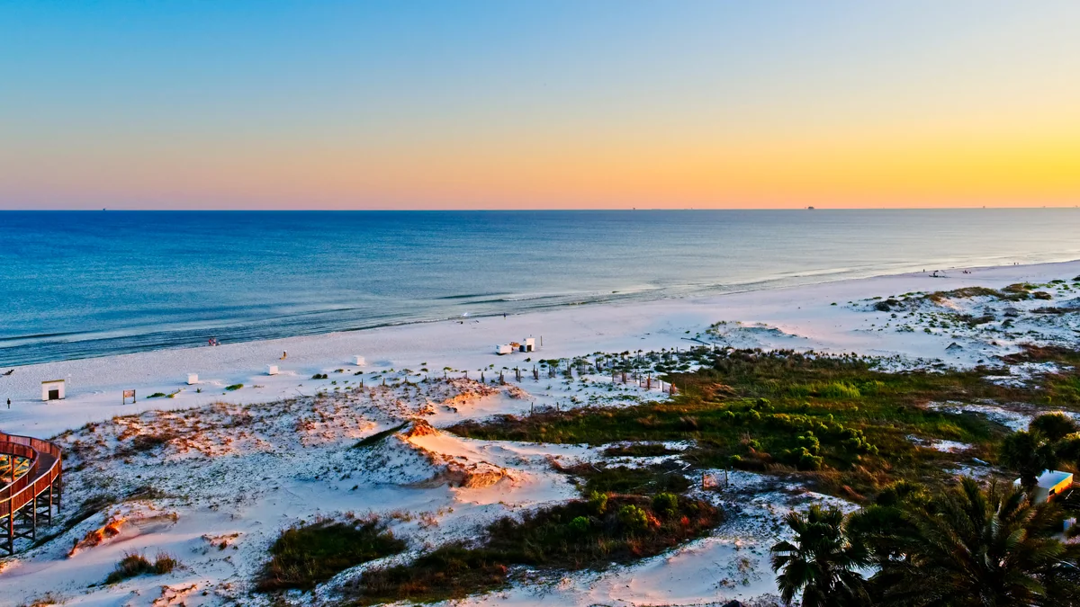 Bird Chat at South American Adventure